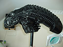 Alien Head 8